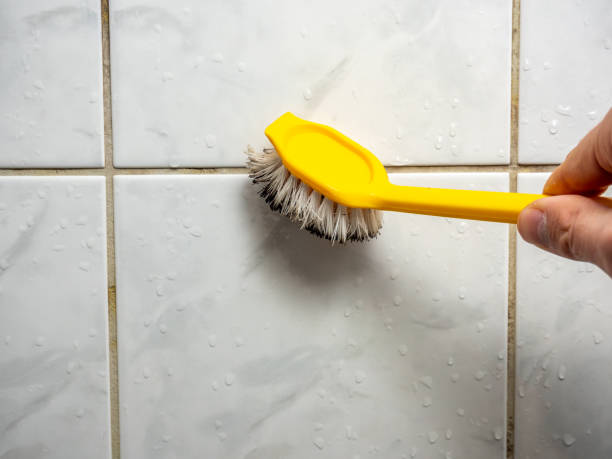 Best Water Damage Restoration  in Honey Grove, TX