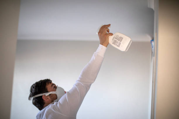 Best Mold Remediation Services  in Honey Grove, TX